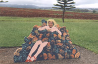 [oahu-pineapple-lady.jpg]